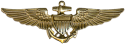 Aviator Wings
